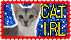 Stamp that reads 'Cat IRL', with cat images for a background.