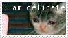 Stamp that reads 'I am delicate', with an image of the crying cat meme for a background.
